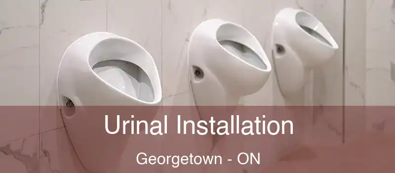 Urinal Installation Georgetown - ON