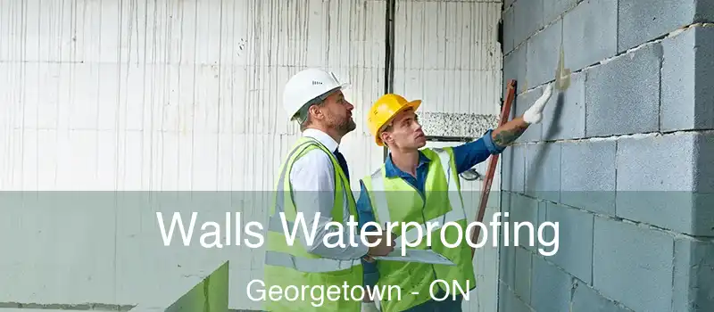  Walls Waterproofing Georgetown - ON