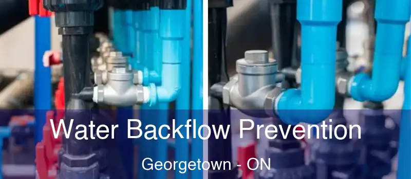  Water Backflow Prevention Georgetown - ON