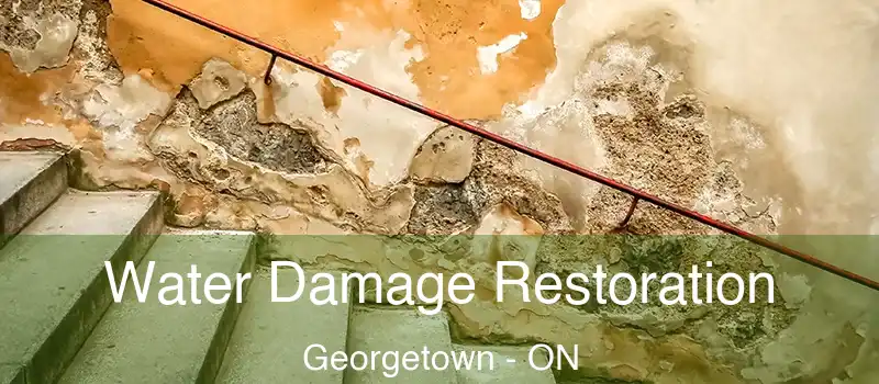 Water Damage Restoration Georgetown - ON