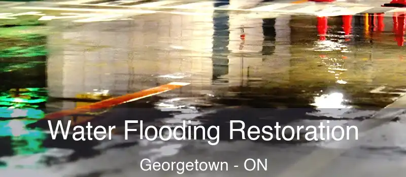 Water Flooding Restoration Georgetown - ON