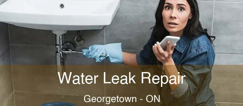 Water Leak Repair Georgetown - ON