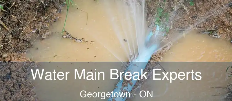Water Main Break Experts Georgetown - ON