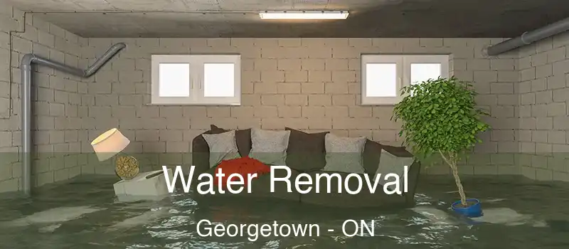Water Removal Georgetown - ON